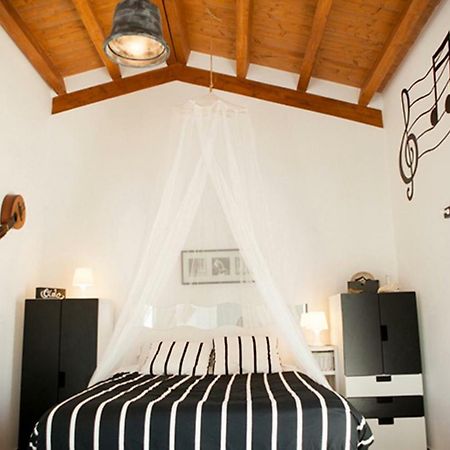 Casa Rural Txokoetxe موغاينا المظهر الخارجي الصورة