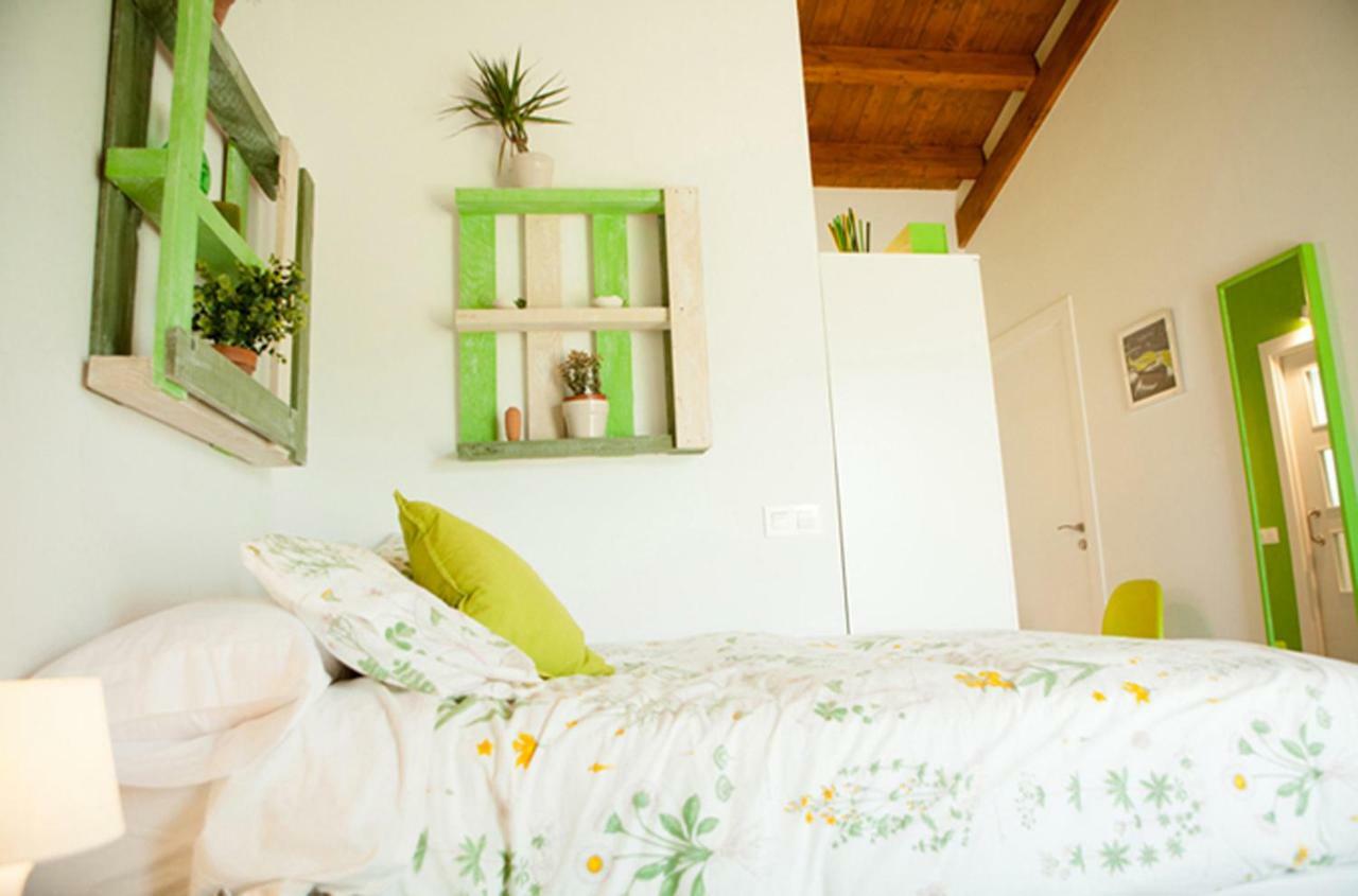 Casa Rural Txokoetxe موغاينا المظهر الخارجي الصورة